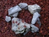 coloni2.jpg