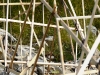 installazione8.jpg