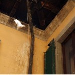 {barganews} Pigeons return to Palazzo Pancrazi