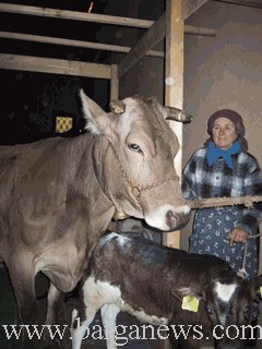 barga presepe vivente3.jpg
