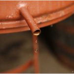 {barganews} Last stage of the vendemmia - grappa making