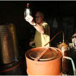 {barganews} Last stage of the vendemmia - grappa making