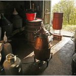 {barganews} Last stage of the vendemmia - grappa making
