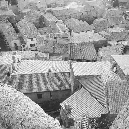 Settima tappa Montefiascone Bolsena – 26321 passi 20.56 km