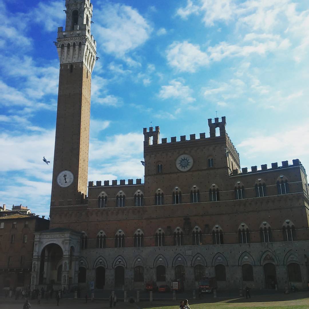 Tredicesima tappa Siena Monteriggioni 35776 passi 28 km