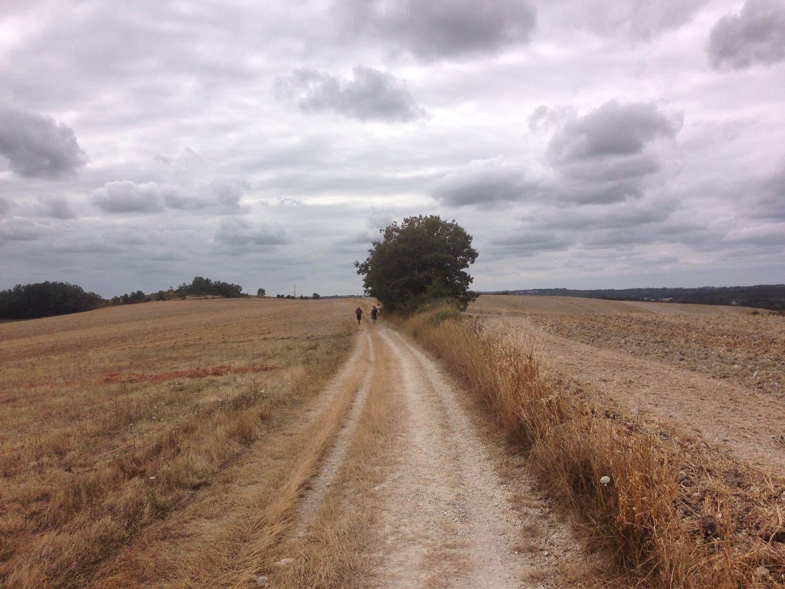 Quindicesima tappa da Labastide-Marnhac a Montcuq – 26km