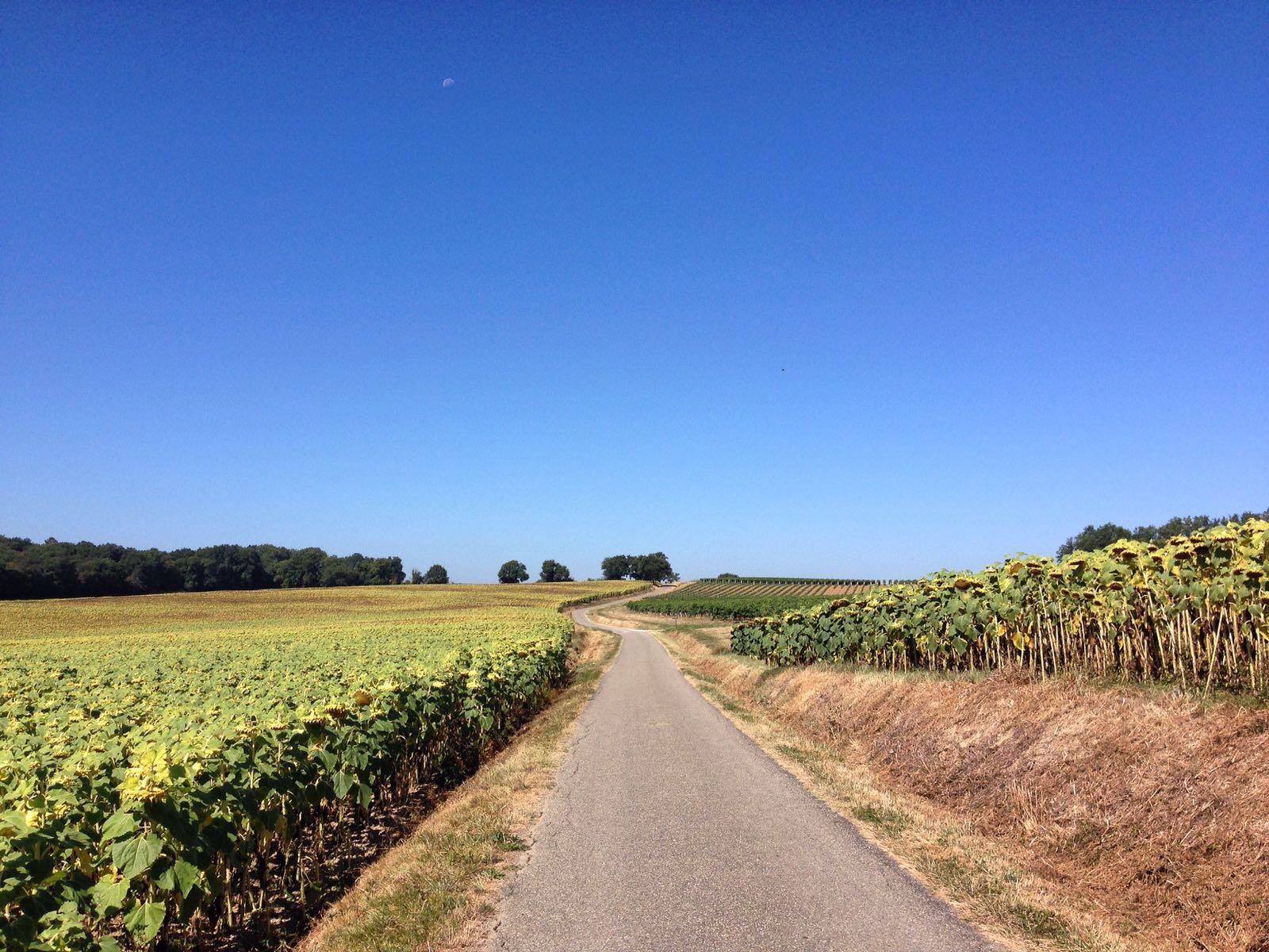 Ventunesima tappa da Condom a Bretagne-D’Armagnac – 27km