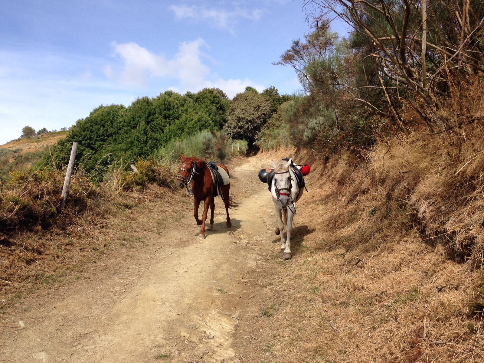 Cinquantaduesima tappa da Villafranca Del Bierzo a O Cerbero – 30km
