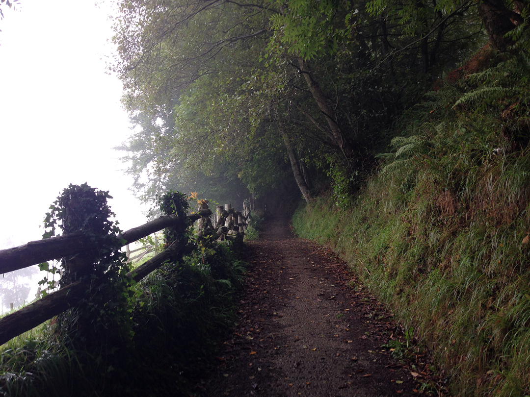 Ventiquattresimo giorno e quarta tappa del Cammino Primitivo, da Tineo a Borres solo 16km